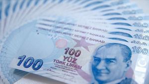 Hazine 7,6 milyar lira borçlandı