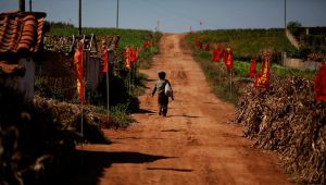 Kuzey Kore son 40 yılın en kötü kuraklığıyla boğuşuyor