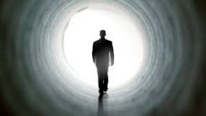 Hangi yatırım aracı ne kazandırdı?