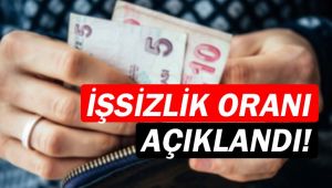  İşsizlik oranı %14,1 seviyesinde gerçekleşti 