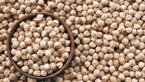 Nohut üreticileri aracılardan şikayetçi