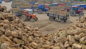 Şekere yüzde 16 zam geldi