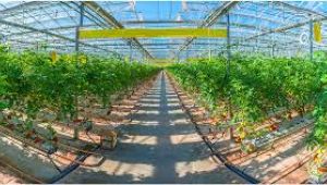 Sera yatırımına ekspertiz engeli