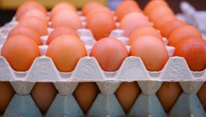 Yumurtada mecburen indirim