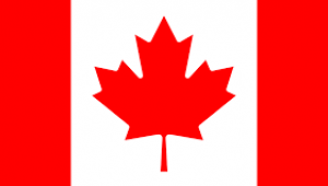 Hastaların MR ve tomografi için aylarca sıra beklemesi, Kanada ekonomisine bir yılda 3,54 milyar Dolara mal oldu