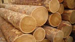 ’Çin’e ihracatımızı altı katına çıkardık’