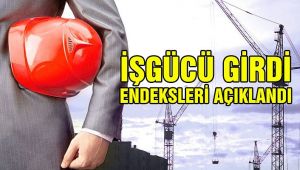 İşgücü Girdi Endeksleri, II. Çeyrek: Nisan - Haziran, 2019