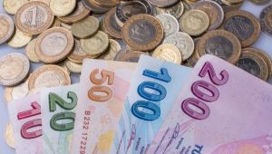 Merkezi yönetim brüt borç stoku temmuzda 1 trilyon 215,8 milyar lira oldu