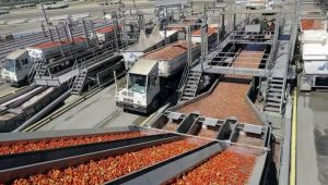 ABD'de ÜFE Ağustos'ta beklentileri aştı