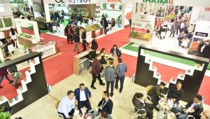 Türk Gübresi Dünya Pazarlarına Açılıyor