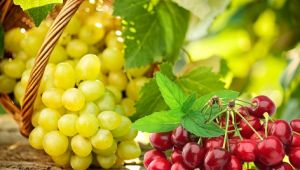 Türk yaş meyve sebze ihracatçıları Rusya’da liderliği geri almak istiyor