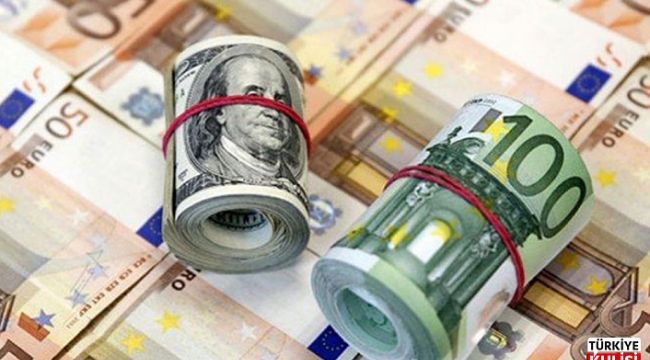 Türkiye'nin yurt dışı varlıkları arttı