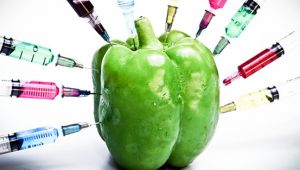 GIDADA YENİ TREND; İYİ,ORGANİK,GDO’SUZ VE SÜPER GIDALAR