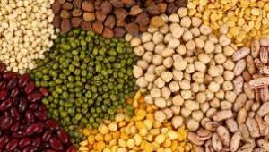 Tarım Ürünleri Üretici Fiyat Endeksi, Eylül 2019