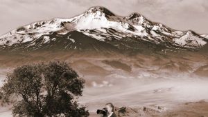 7. KAYSERİ FİLM FESTİVALİ’NDE YARIŞACAK FİLMLER BELLİ OLDU!