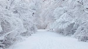 Kış Ayında Pastırma Sıcağını Görebiliriz