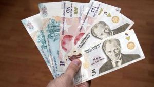 Yeni Türk Lirası banknotların zaman aşımı yıl sonunda dolacak