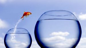 Büyümeye Dönüşün Maliyeti