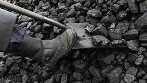 Katı Yakıtlar, Kasım 2019