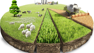 KEÇİ PEYNİRİNE “TAĞŞİŞ” İDDİASI MAHKEMELİK OLDU