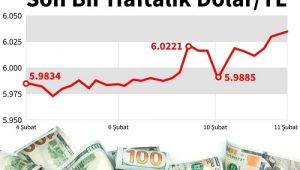 Kamu bankaları bir haftada 4,5 milyar dolar sattı