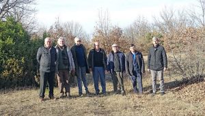 Bilim adamları diyor ki..