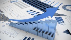 Ciro Endeksleri, Ocak 2020