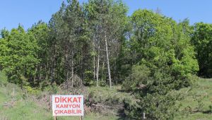  DOĞADA Kİ İŞGAL KUVVETLERİ, YABAN HAYATI YOK EDİYOR..