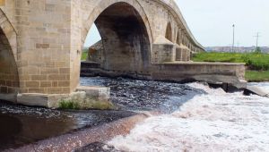 Geçtiğimiz hafta Dünya Ormancılık ve Su Günüydü. 