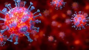 Koronavirüs salgını: Bir kişi, virüse iki kez yakalanabilir mi?