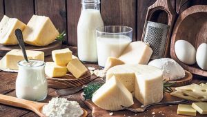 Süt ve Süt Ürünleri Üretimi, Ocak 2020