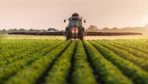 5 ülkeden tarım ve gıda ürünlerine ihracat yasağı