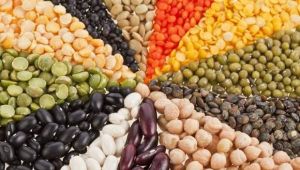 Bakliyat için acil eylem planı