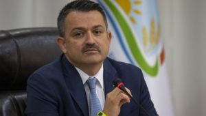 Destek ödemelerine bugün başlıyor