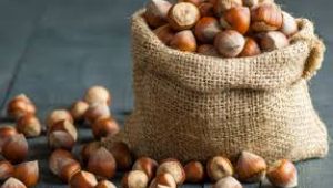 Fındık ihracatı koronavirüse rağmen yüz güldürdü