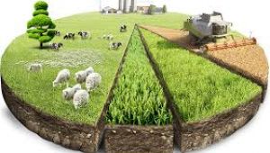 Hazineye ait atıl tarım arazileri, kullanıma açılacak