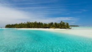 Cook Adaları ekonominin durması pahasına sınırı kapattı, virüs adaya ulaşamadı