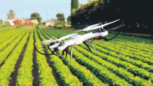 Dijital Tarım Pazarı ile çiftçi ürünlerine rahatlıkla pazar bulacak