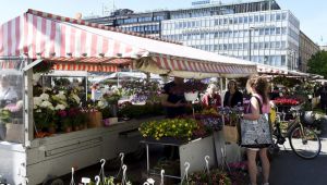 Finlandiya’da koronavirüs vakaları arttı