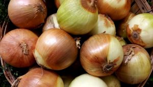 İhracat Kontrollü olarak yapılacak