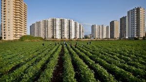 Sürdürülebilir bir tarım için ekim nöbeti sistemidoğru uygulanmalıdır