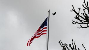 Tarım Dışı İstihdam Nasıl Yorumlanabilir?