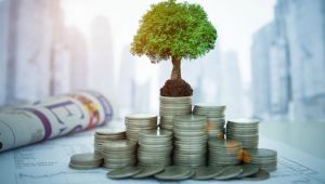 Değerli yatırımcılar, 