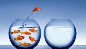 DEĞİŞİM ŞART!!!