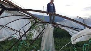 Doğal afetlerden zarar gören çiftçiye 780 milyon liralık tazminat ödenecek