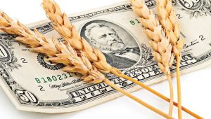 Gıda Fiyat Endeksi 17 Aylık Periyodun En Düşük Seviyesine Geriledi