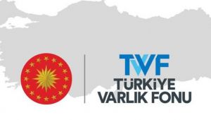 Türkiye Varlık Fonu, 'maden holding' için çalışmalara başladı
