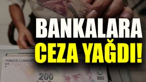 BDDK'dan 7 bankaya 204 milyon lira ceza