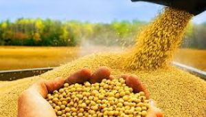 Çiftçiyi elektrik çarptı