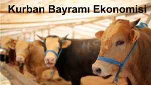 Kurban Bayramı Ekonomisi